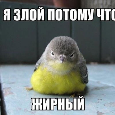 Ахриева Фатима