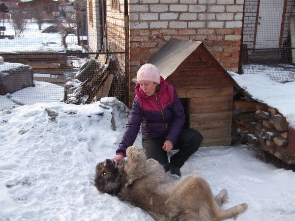 Елена Логинова