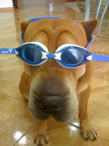 Артем Тепляков