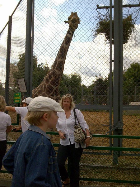 Светлана Катонова