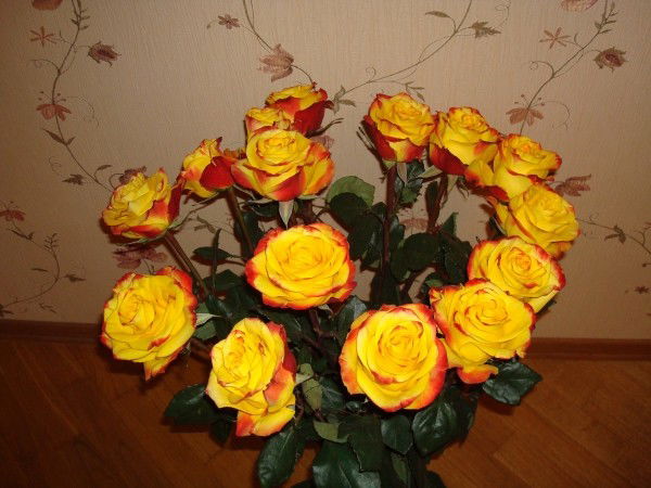 Катя Петрова