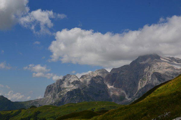 Дюдина Александра