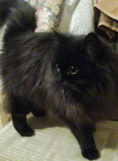 Юляшка Ерохина