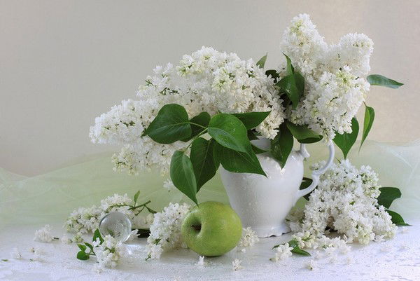 Наталья Чернявская