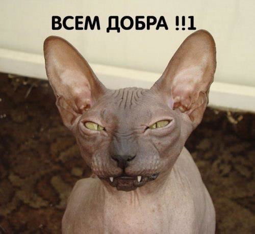 Вячеслав Гераськин