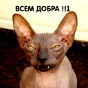 Вячеслав Гераськин