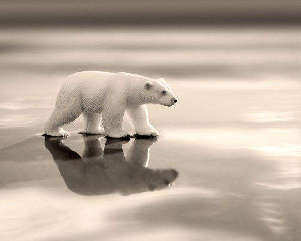 Александр Тимофеев