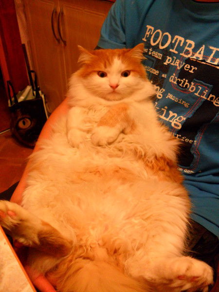 Вячеслав Слонов