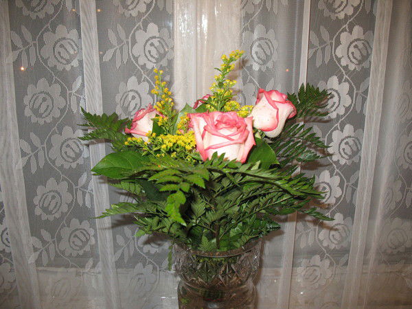 Ольга Плахова