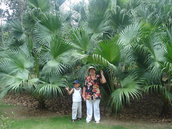 Уркия Танкебаева