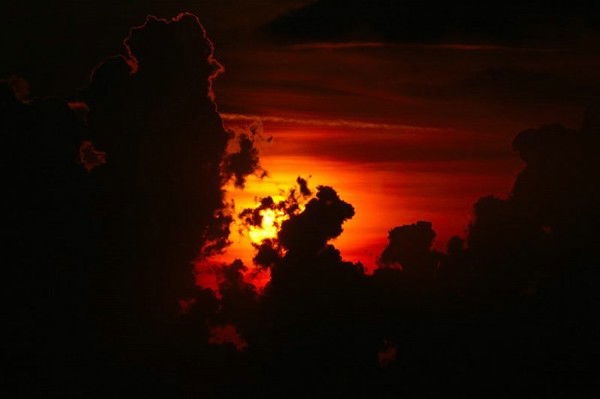 Светлана Грехова