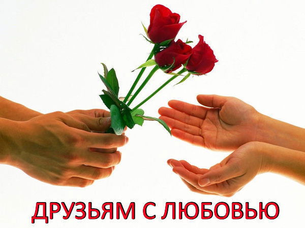 Светлана Покулевская