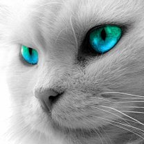 Вячеслав Филимонов