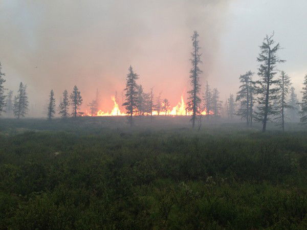 Руслан Луканин