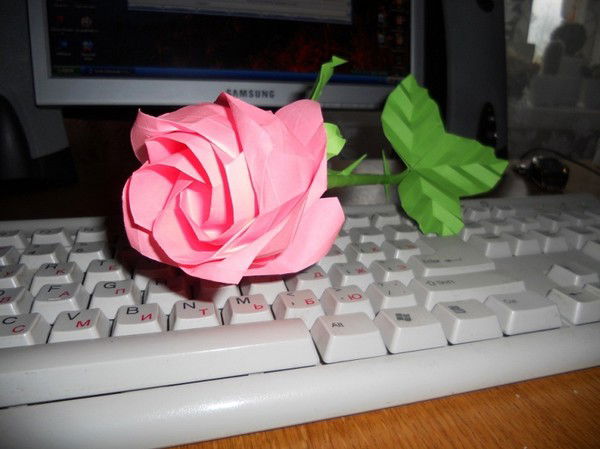 Александр Кульчицкий