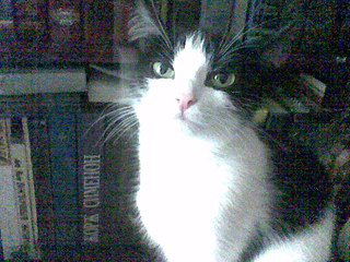 Татьяна Юдахина