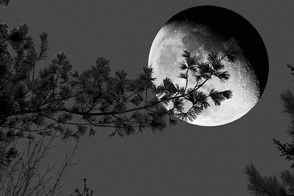 Людмила Гузь