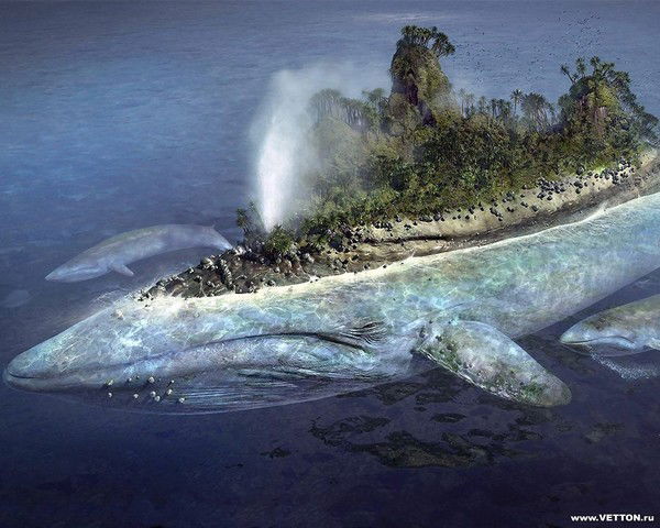 Павел Новосёлов