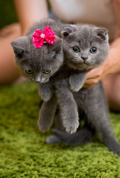 Оля Рябухина