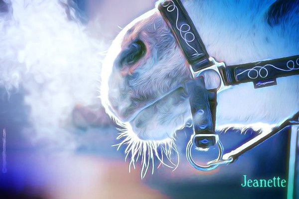 Жаннет` Счастье Есть