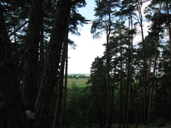 Надежда Ночвина