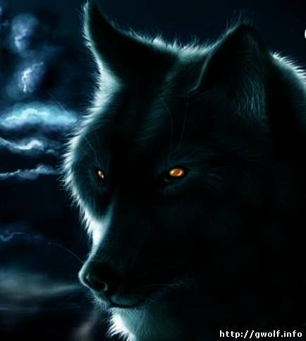 Евгений Кузьминых