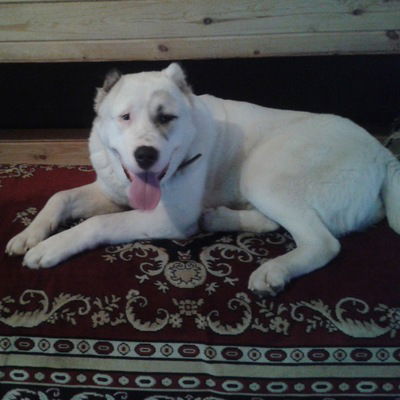 Надежда Немкова