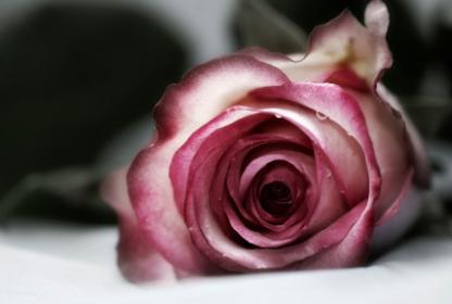 Айжан Жумаксанова