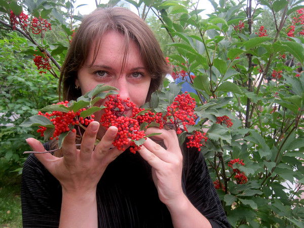 Светлана Челнокова