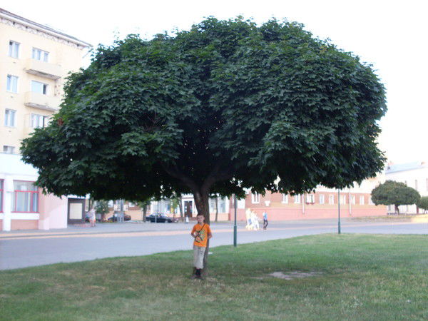 Сергей Сабалевский