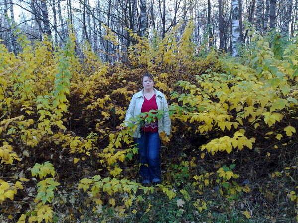 Светлана *******