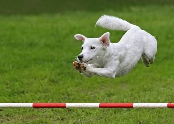 Казбек Ибраев