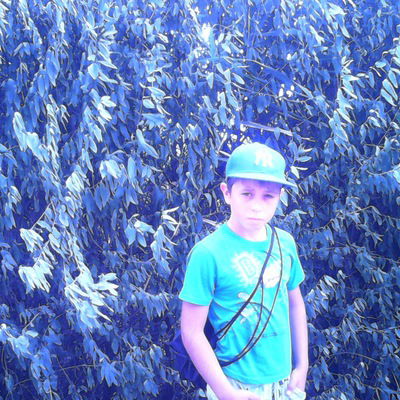 Егор Дадаев