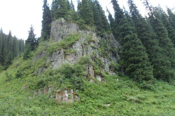 Рима Егизбаева