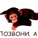 Артём Бобров