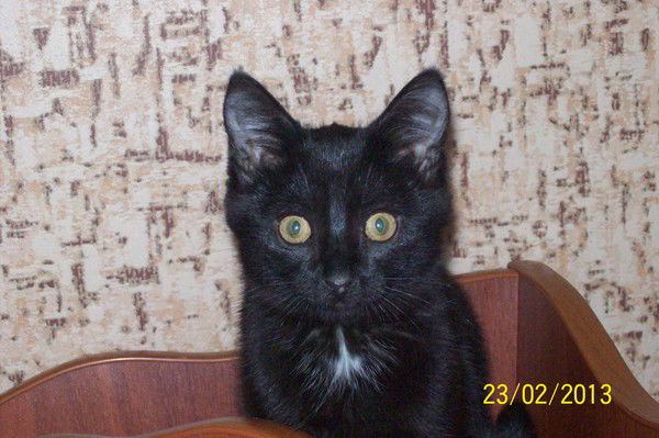 Юлия Князева