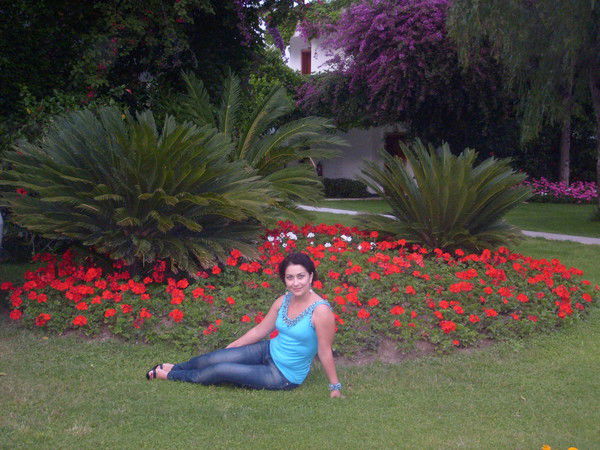 Елена Болотова