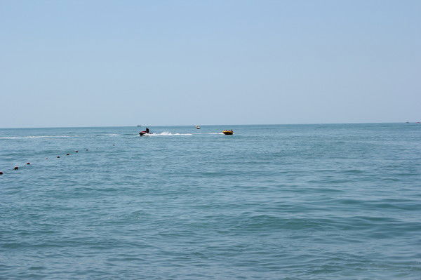 Тимон Димонович