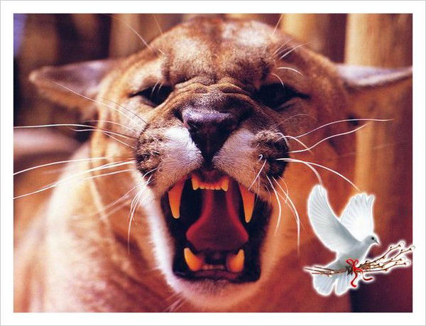 Лариса Александрова