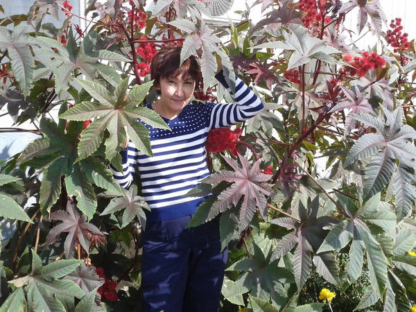 Роза Рахатова