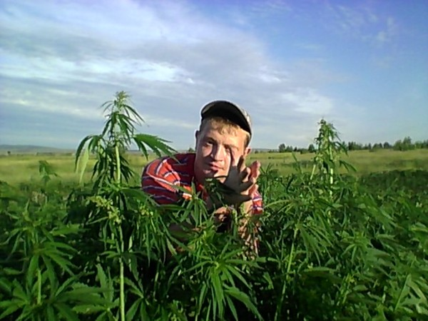 Иван Почекутов