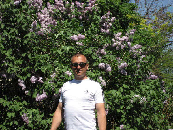 Виктор Цуркан