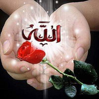 Арай Жарылқасын