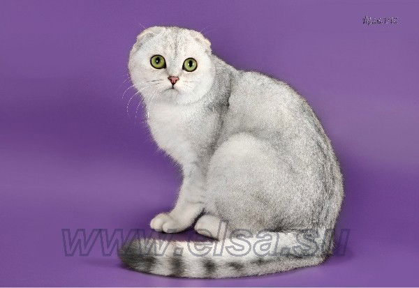 Татьяна Мокеева