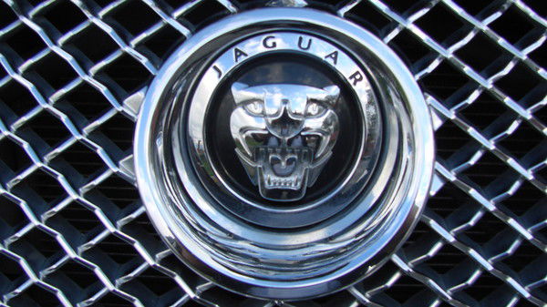 Дмитрий Вылегжанин