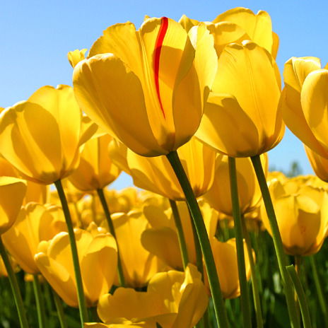 Татьяна Рекеть