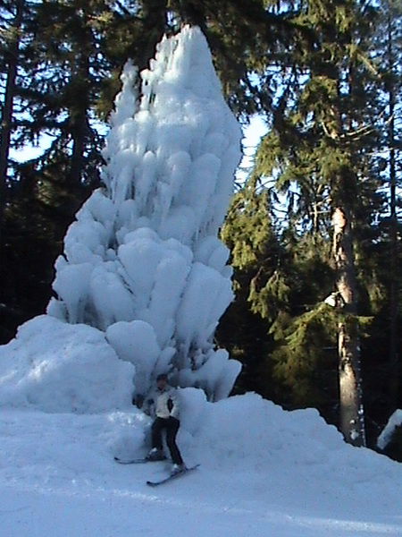 Сафин Ринат