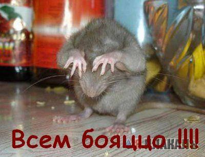 Александр Баранов