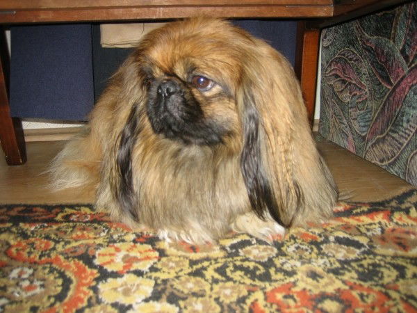 Aleksandras Ignatavicius