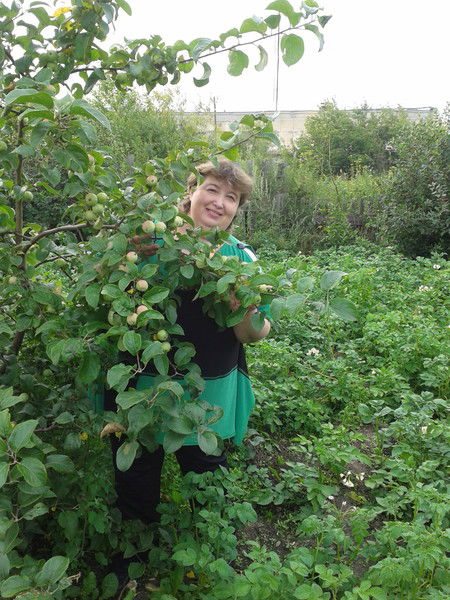 Елена Кривошеева